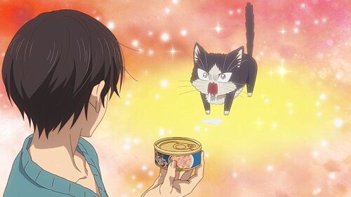 Haru drooling over cat food